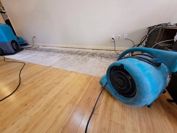 Professional Basement Flood Cleanup technician working in Waterford, CT